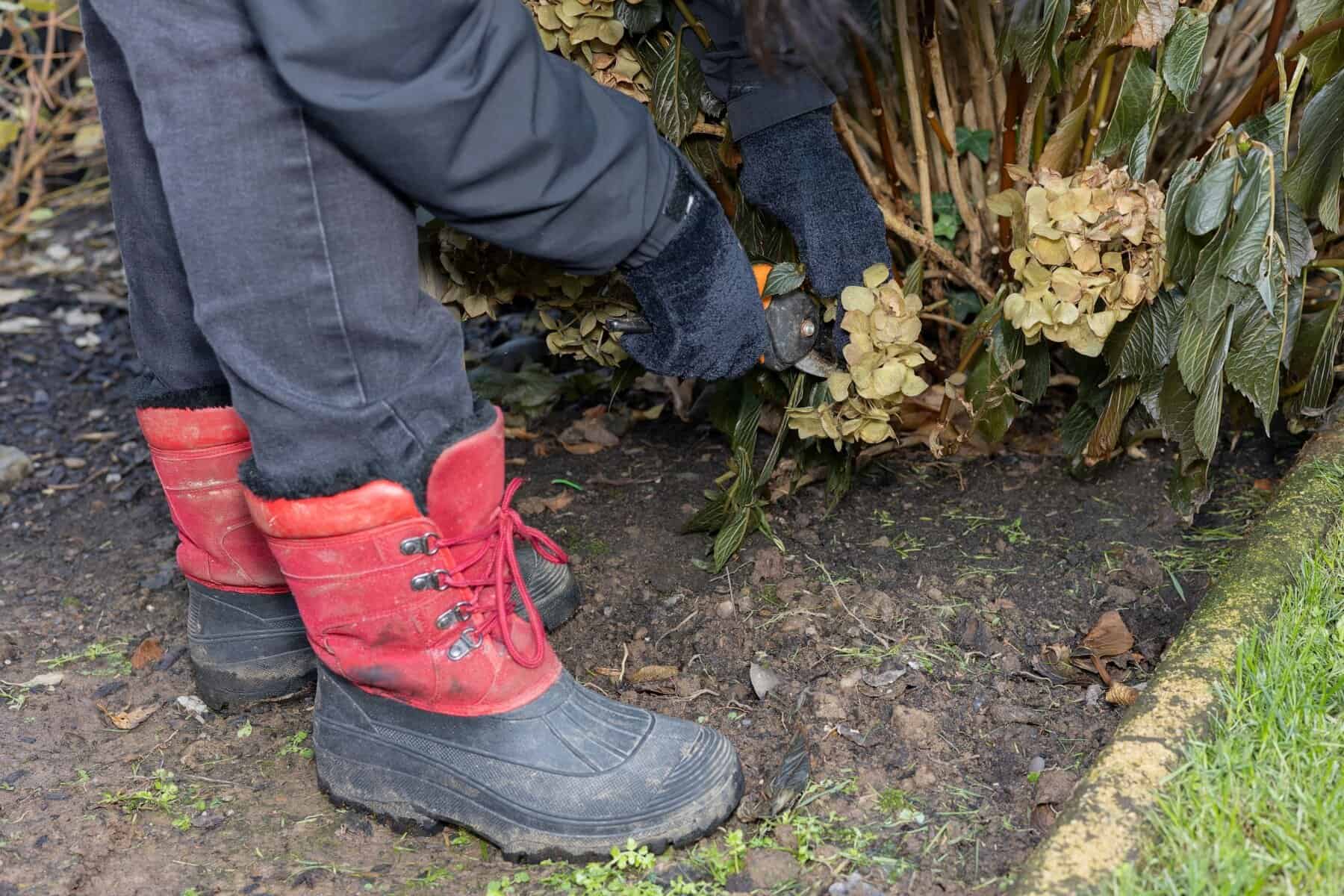 The Importance of Winter Pruning for Stronger Spring Growth
