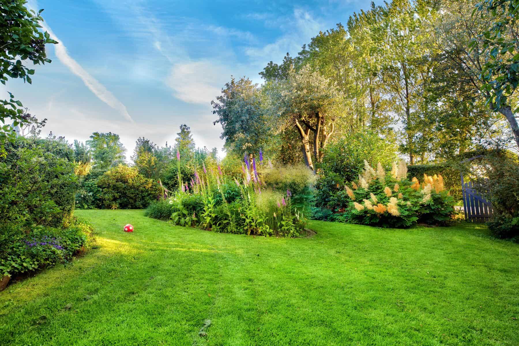 When the Rain Stops: How to Protect Your Trees During a Summer Drought 1 When the Rain Stops: How to Protect Your Trees During a Summer Drought